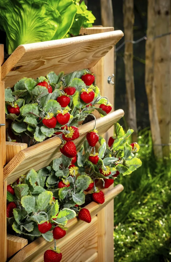 Westmann Hochbeet Premium XXL, 91×90,5×73 cm, Natur – FSC-Lärchenholz, rückenschonend