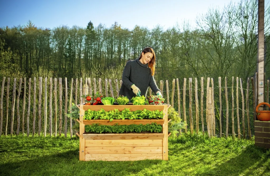 Westmann Hochbeet Premium XXL, 91×90,5×73 cm, Natur – FSC-Lärchenholz, rückenschonend