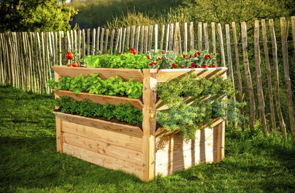 Westmann Hochbeet Premium XXL, 91×90,5×73 cm, Natur – FSC-Lärchenholz, rückenschonend