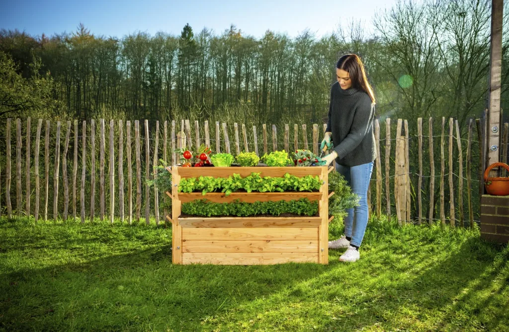 Westmann Hochbeet Premium XXL, 91×90,5×73 cm, Natur – FSC-Lärchenholz, rückenschonend