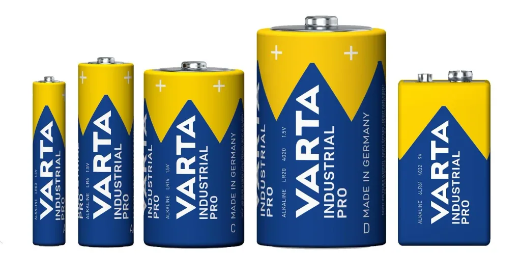INDUSTRIAL PRO Micro (AAA) Alkaline Batterie - 2 Stück