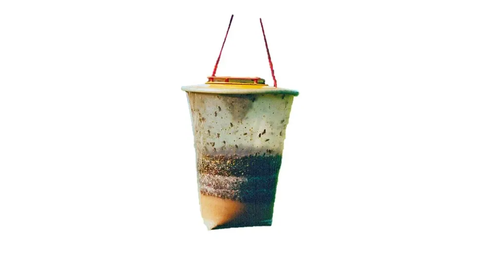 Fliegenfalle, Gr. L, 3 l - Einwegfalle