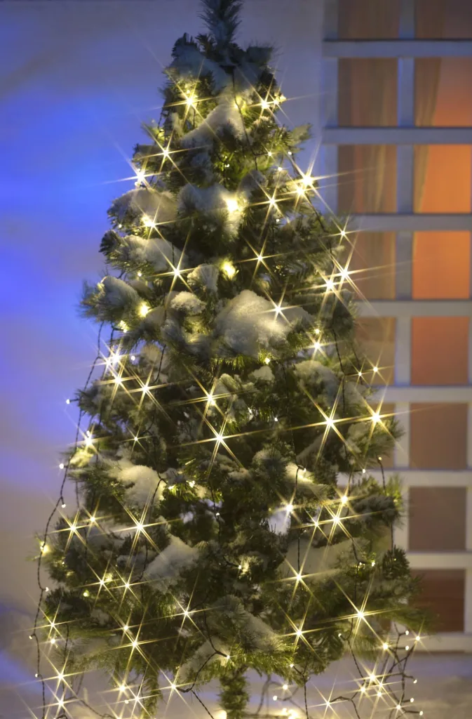 Lichterschnüre mit 160 LEDs - 8 Stränge je 2m