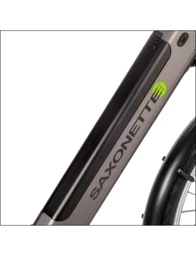 Unisex City E-Bike, 28 Zoll, Rahmenhöhe 50 cm, 7-Gang Nabenschaltung, silber, Hamburg