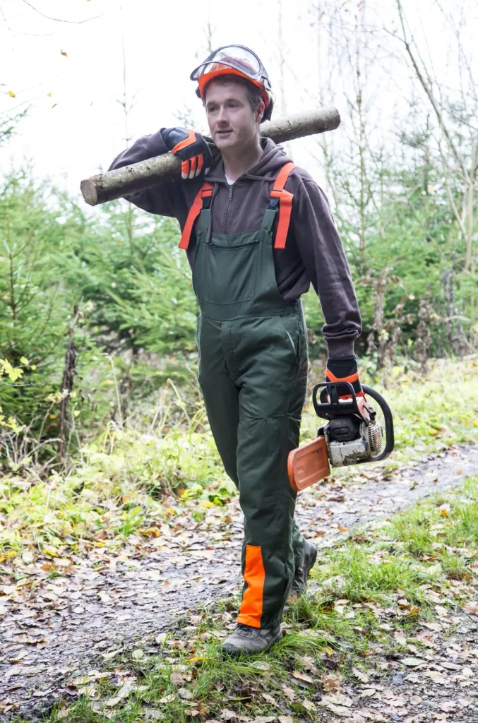 Motorsägenhandschuh Forester Gr. 9/L