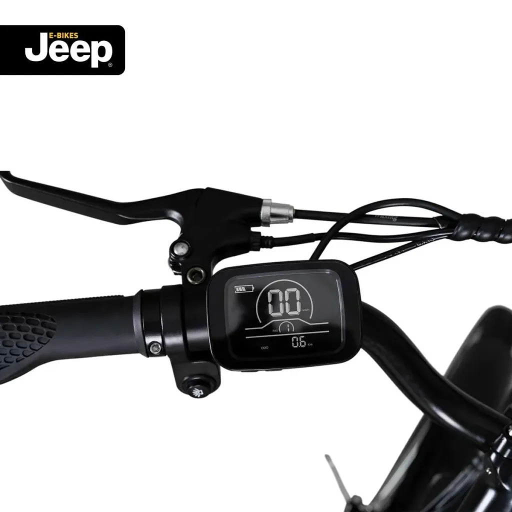 Unisex City E-Bike, 28 Zoll , Rahmengröße 44 cm 6-Gang Kettenschaltung, schwarz, ECR 3000