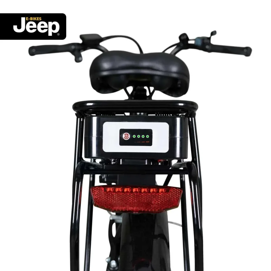 Unisex City E-Bike, 28 Zoll , Rahmengröße 44 cm 6-Gang Kettenschaltung, schwarz, ECR 3000