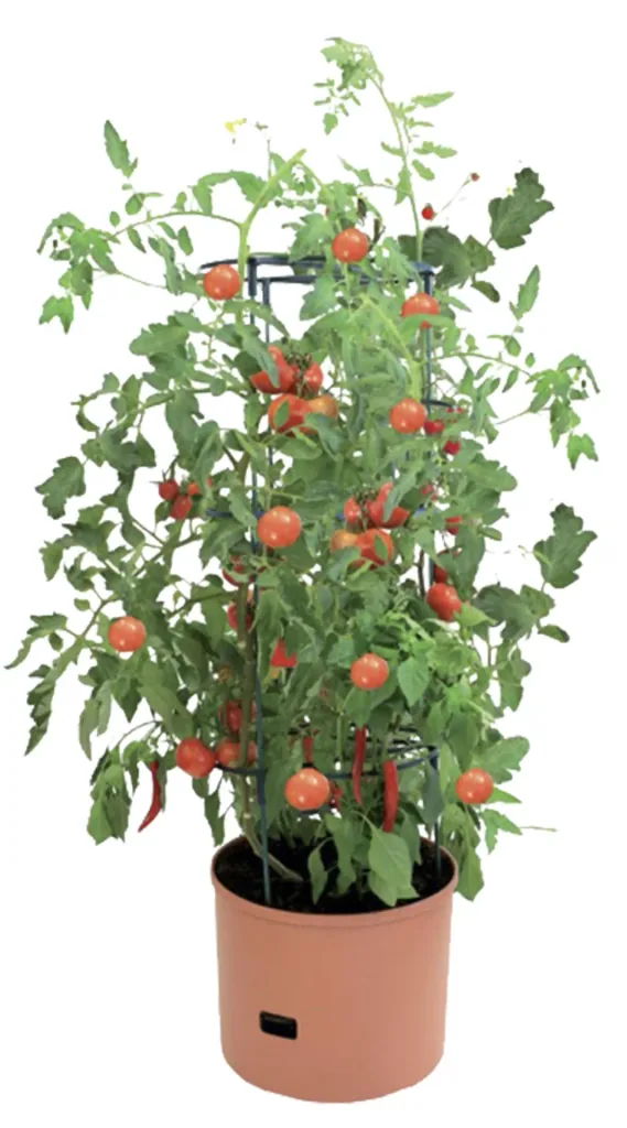 Pflanzturm "Maxitom Jumbo", terrakotta, 1 Stück