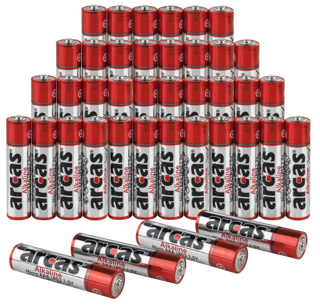 Alkaline Micro (AAA) Batterie – 36 Stück