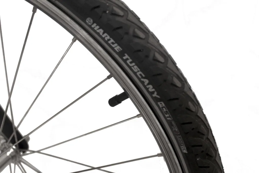 Herren Trekking E-Bike, 28 Zoll, Rahmenhöhe 50 cm, 7-Gang Kettenschaltung, Silber matt, Eifel