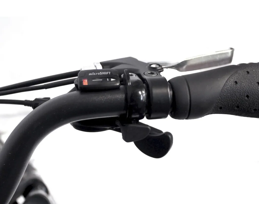 Herren Trekking E-Bike, 28 Zoll, Rahmenhöhe 50 cm, 7-Gang Kettenschaltung, Silber matt, Eifel