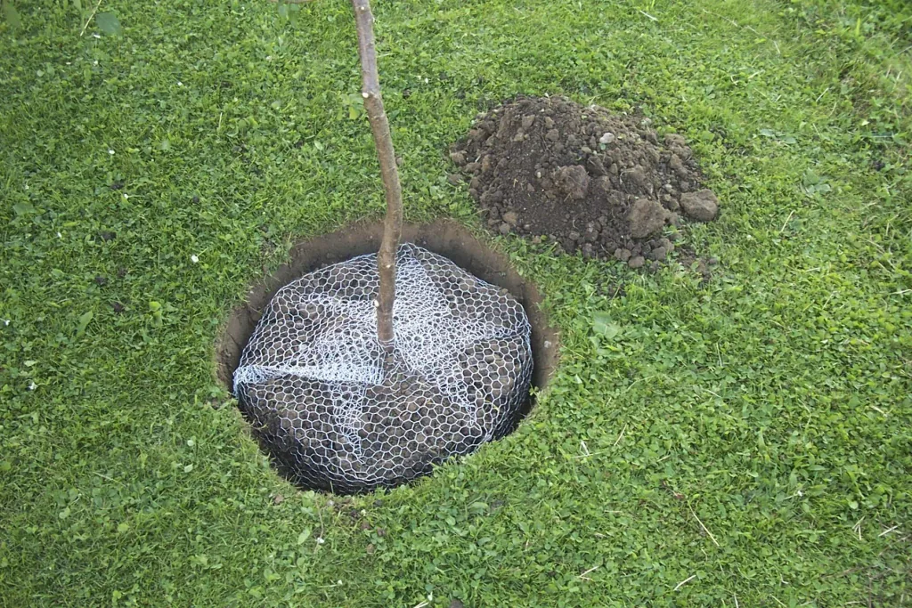 Wühlmauskorb unverzinkt, groß, 60 cm