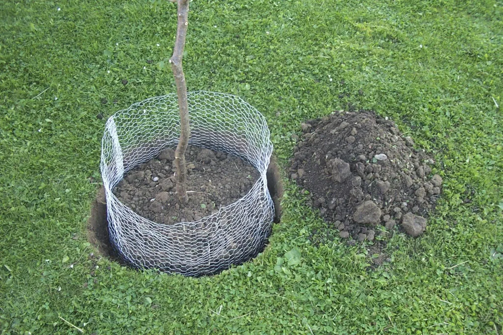 Wühlmauskorb unverzinkt, groß, 60 cm