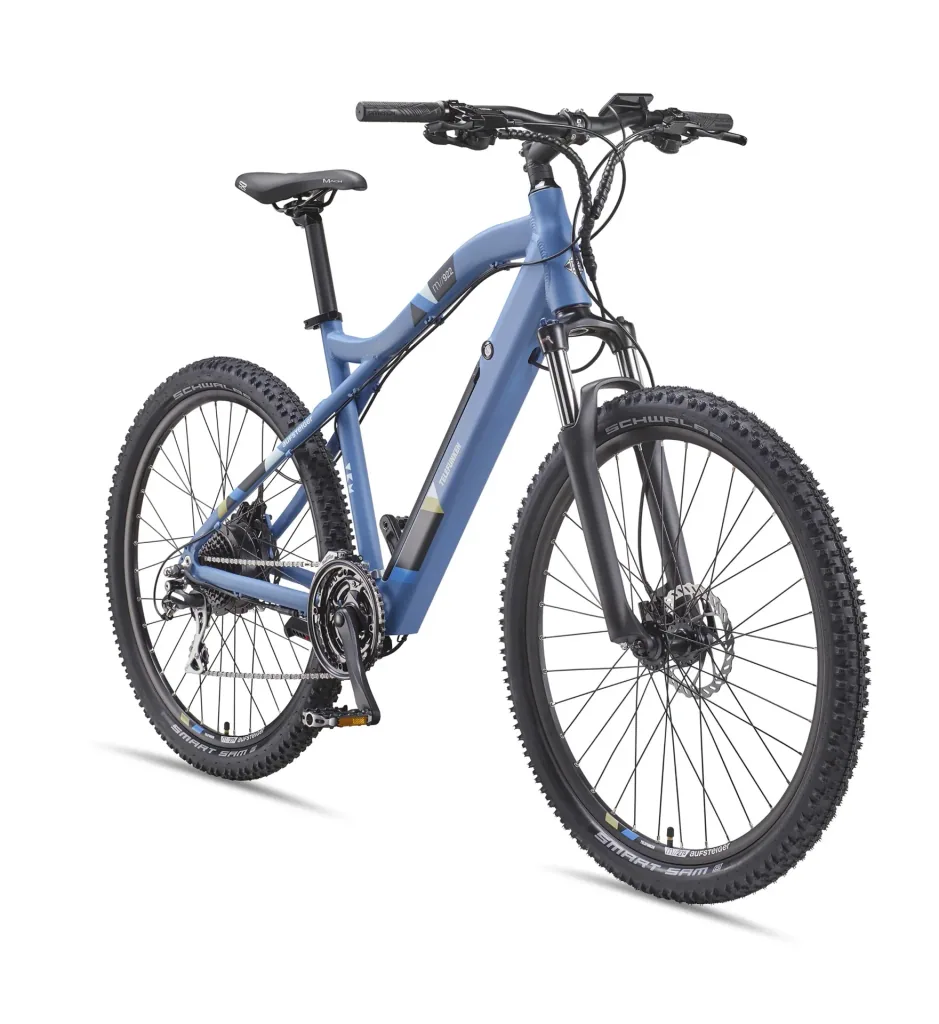 Unisex Alu MTB E-Bike, 29 Zoll, 24-Gang Kettenschaltung, blau, Aufsteiger M922 Hardtail