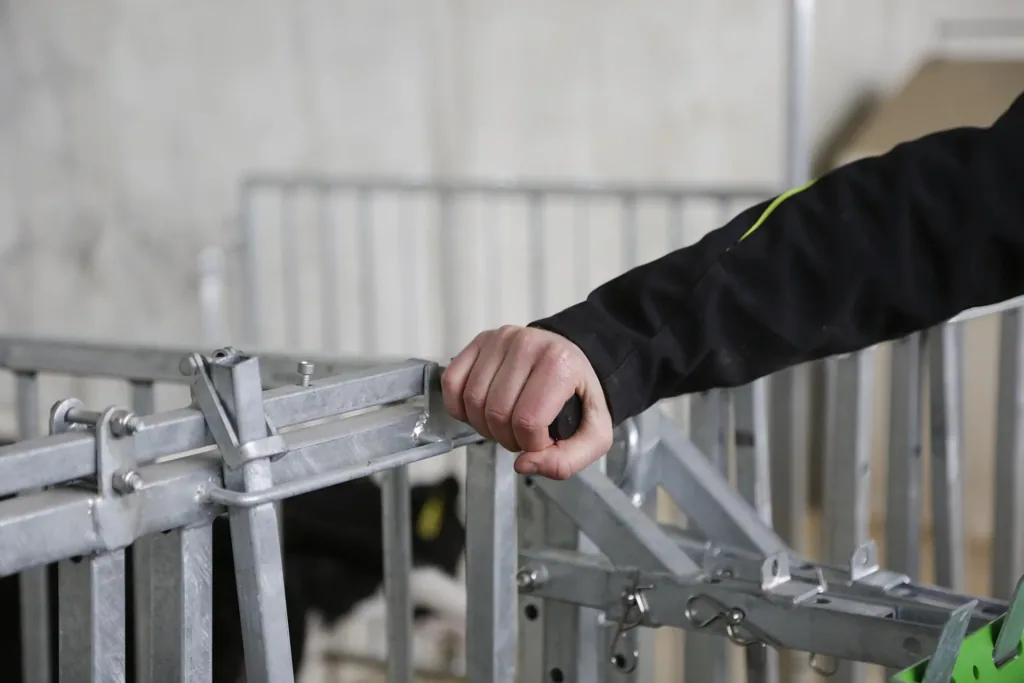 Zaunteil Gitter, kurz, für modulare Zaunaufstallung