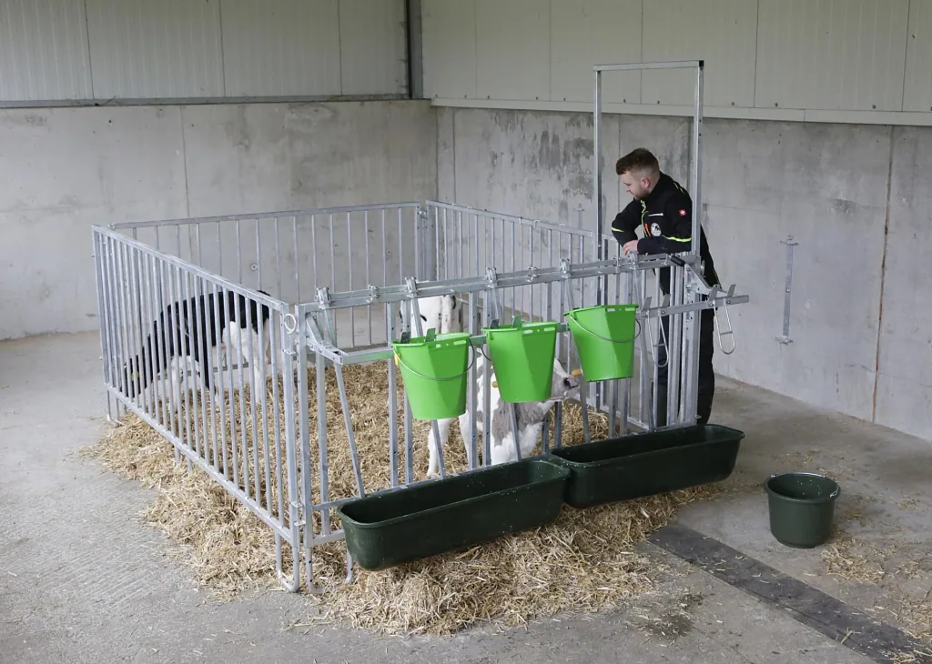 Zaunteil Gitter, kurz, für modulare Zaunaufstallung