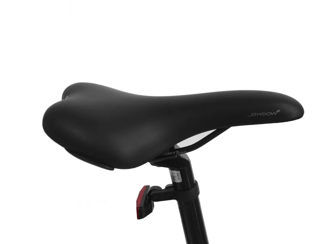 Unisex Mountain E-Bike, 27,5 Zoll, Rahmenhöhe 47 cm, 9-Gang Kettenschaltung, schwarz matt, Garmisch
