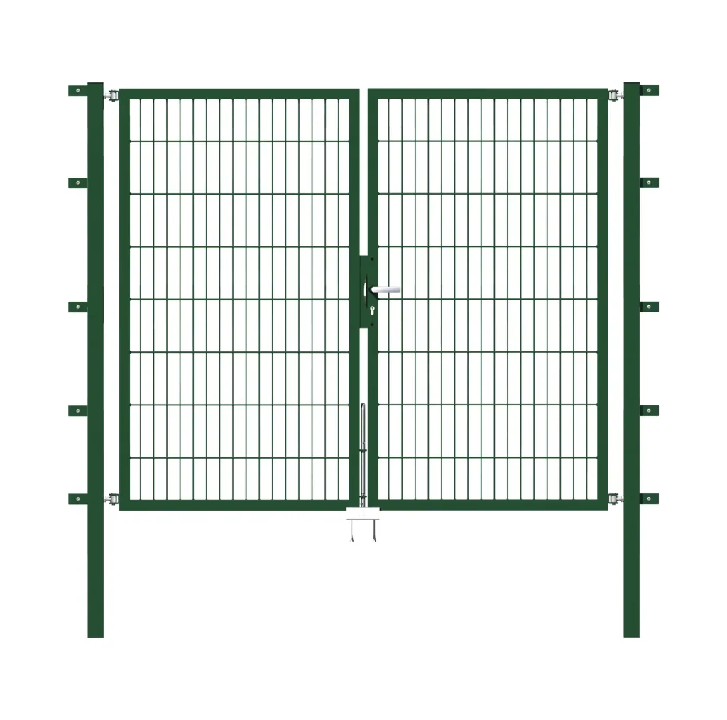Doppeltor Flexo mit Zubehör, grün, Breite 200 cm, Höhe 160 cm, PF: 60x60 cm