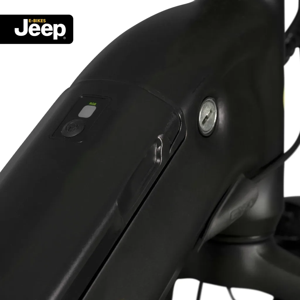 Unisex Fold E-Bike , 20 Zoll, 7-Gang Kettenschaltung, black, Falt-E-Bike FR 7000