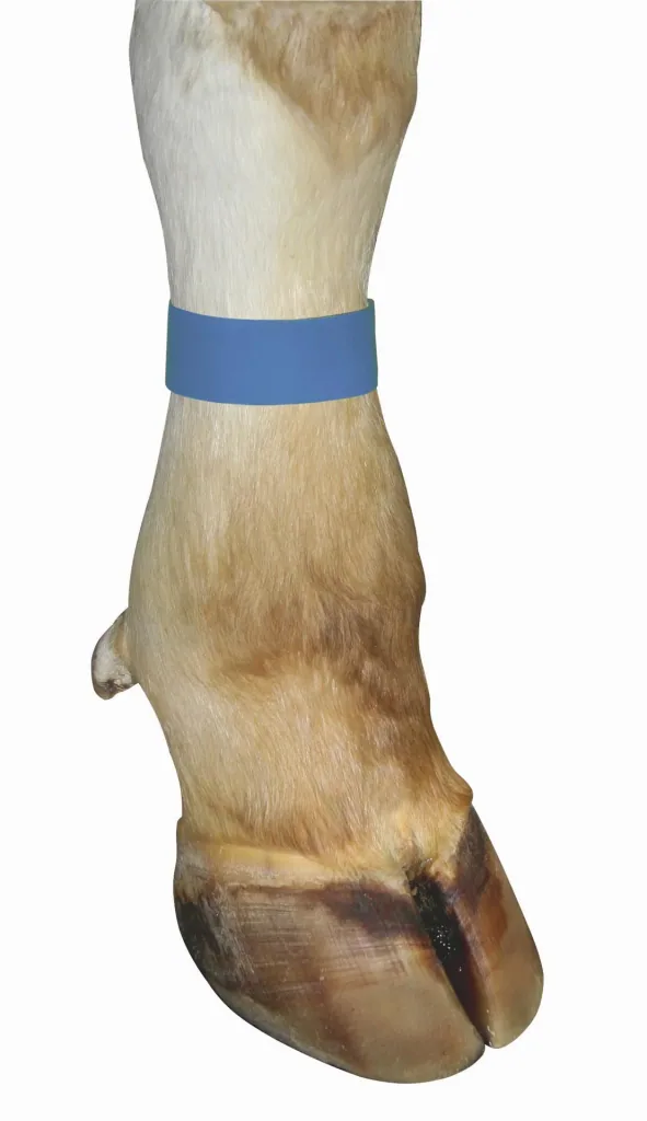 Markierungsbänder für Kühe, mit Klettverschluss, Farbe blau, 10er Pack