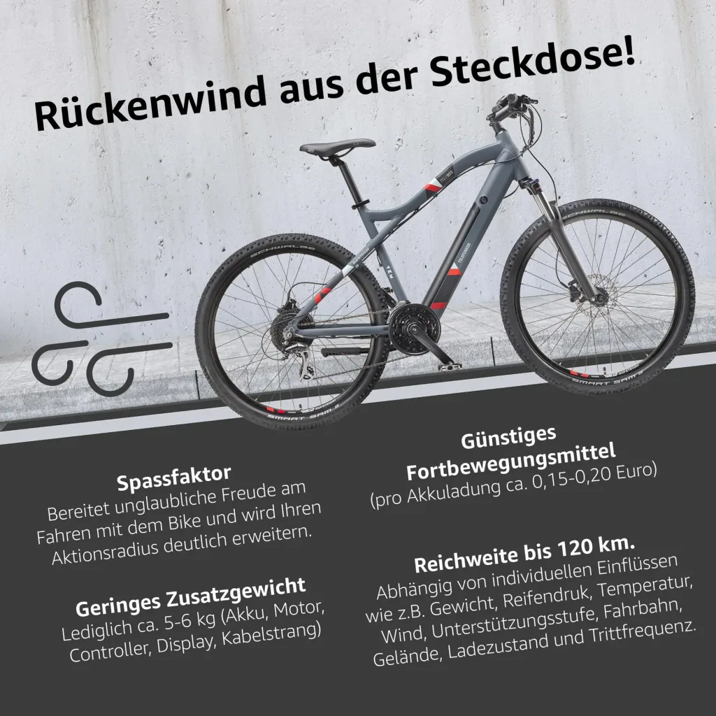 Unisex Alu MTB E-Bike, 29 Zoll, 24-Gang Kettenschaltung, grau, Aufsteiger M922 Hardtail