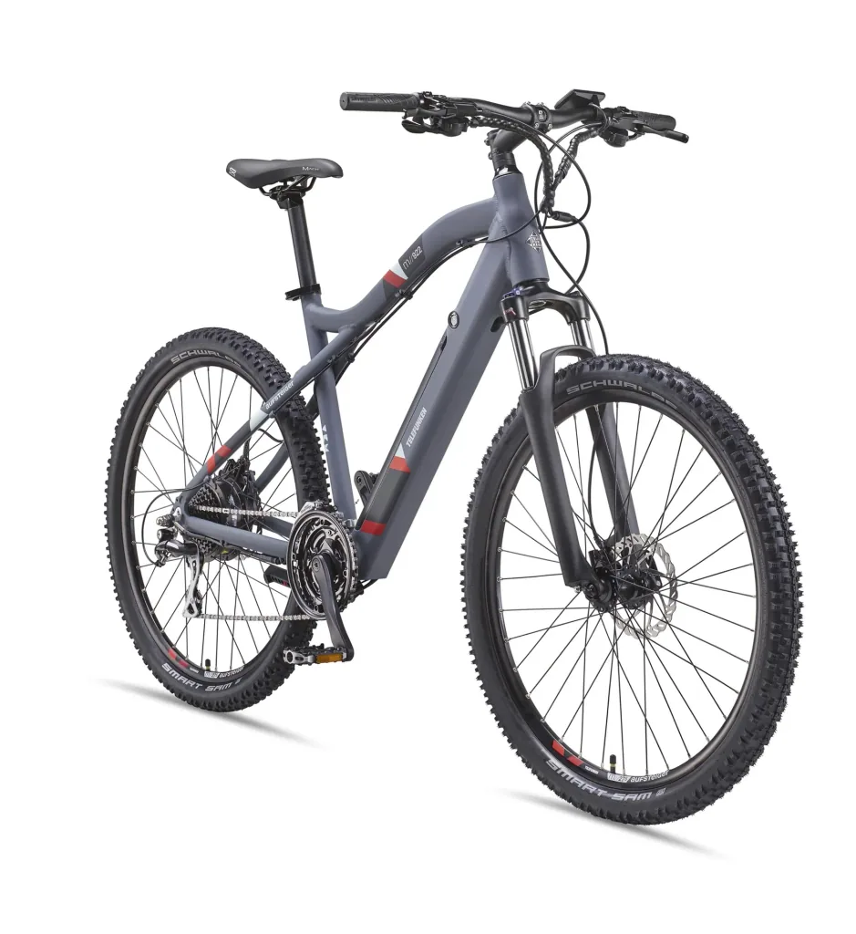 Unisex Alu MTB E-Bike, 29 Zoll, 24-Gang Kettenschaltung, grau, Aufsteiger M922 Hardtail