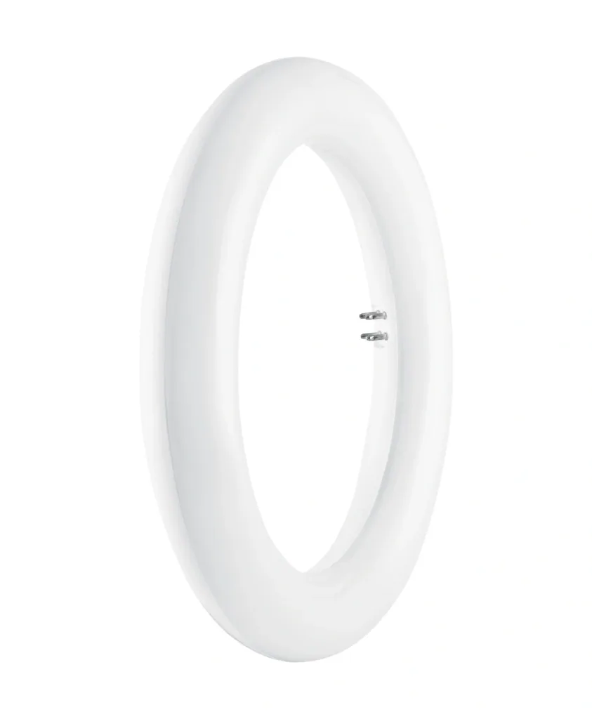 LED T9 Rundröhre mit 12 Watt, G10q, kaltweiß, 1200 Lumen