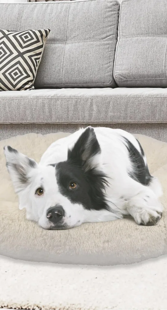 Hundebett Peaceful Pooch Größe S