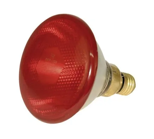 Infrarot Sparlampe PAR 38, 100 Watt, rot