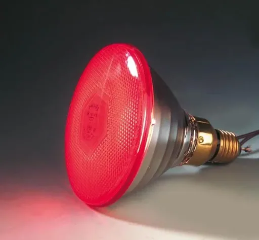 Infrarot Sparlampe 175 W - für Wärmestrahlgeräte