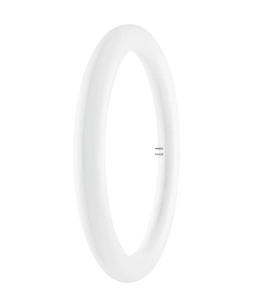 LED T9 Rundröhre mit 20 Watt, G10q, tageslichtweiß, 2000 Lumen