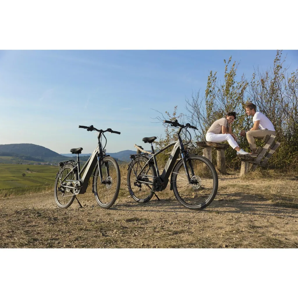 Herren E-Bike Trekking, 28 Zoll, Rahmengröße 55 cm,10-Gang Kettenschaltung, schiefergrau matt, VIATOR 5.0i