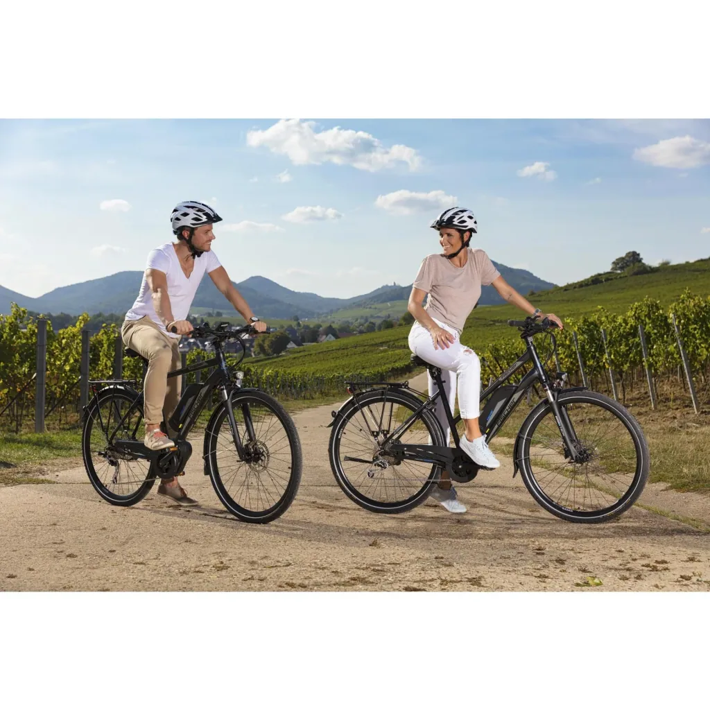 Herren E-Bike Trekking, 28 Zoll, Rahmengröße 50cm, 10-Gang Kettenschaltung, schwarz matt, VIATOR ETH 1861