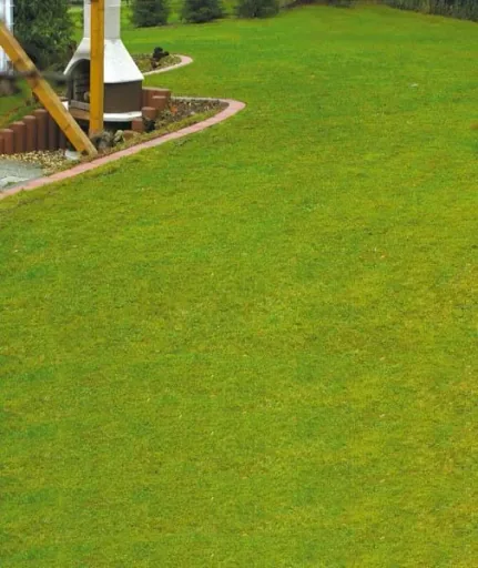 Rasenmäher Harke für Mäher mit Schnittbreite max. 45 cm