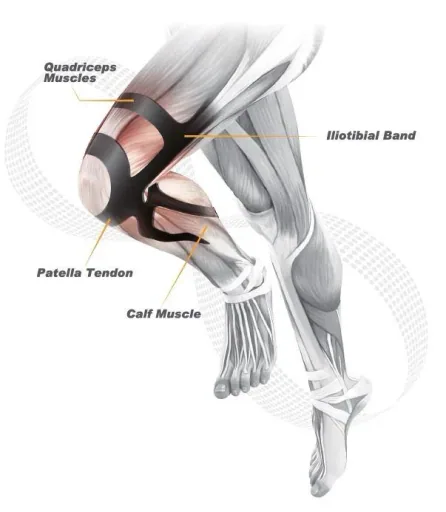 Kniebandage Ergo Band, Damen 45 - 54 cm, Größe 1
