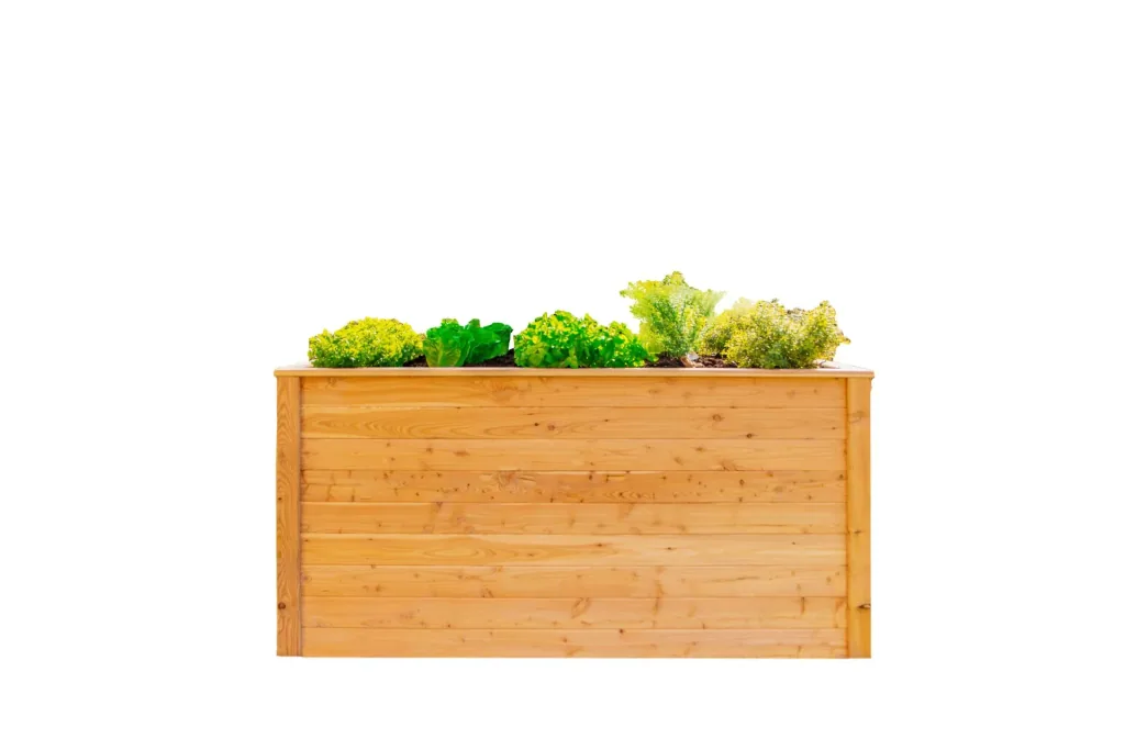 Westmann Hochbeet Klassik 170, 170×90×84 cm, Natur – FSC-Lärchenholz, rückenschonend