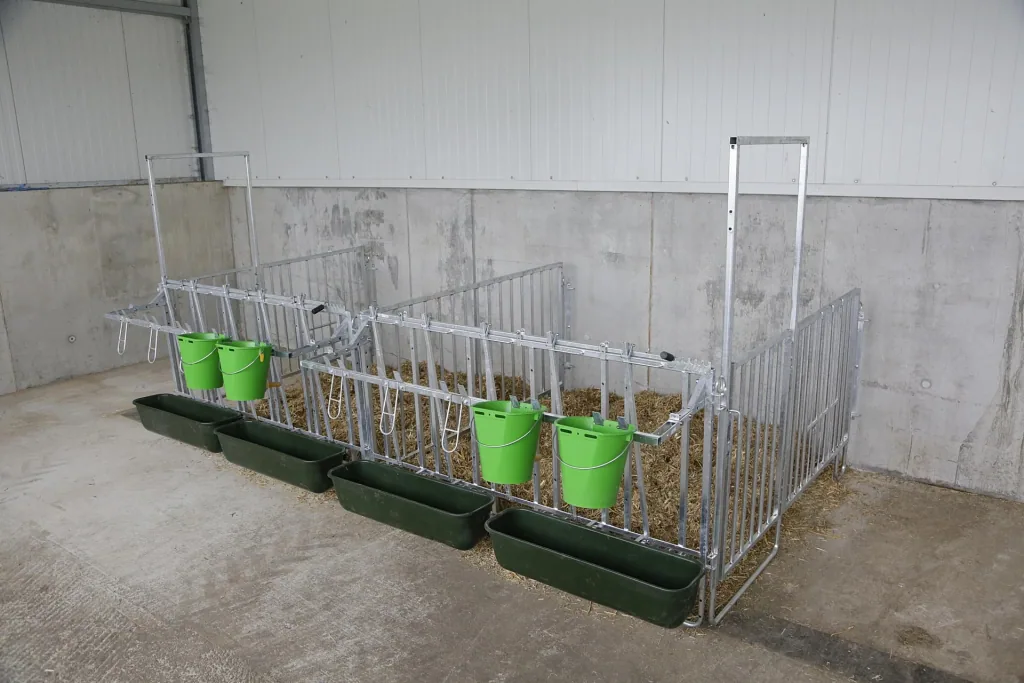 Modulare Zaunaufstallung, Doppelset für 5er Kälbergruppe