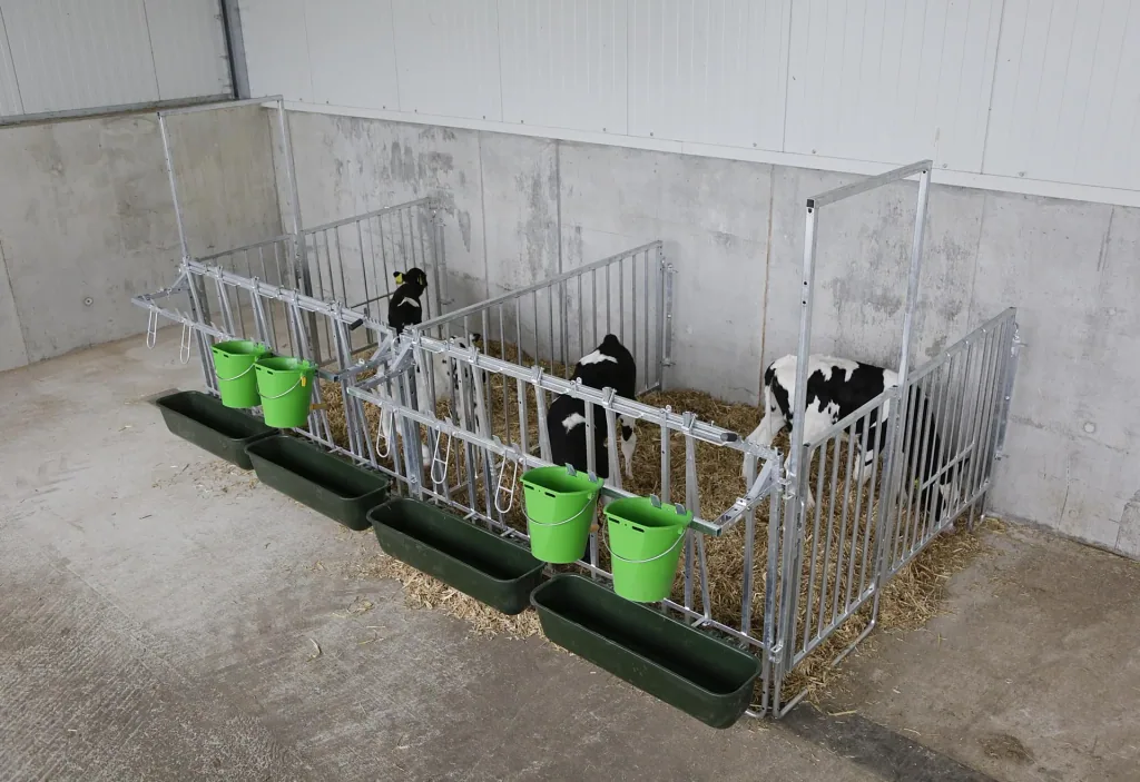 Modulare Zaunaufstallung, Doppelset für 5er Kälbergruppe