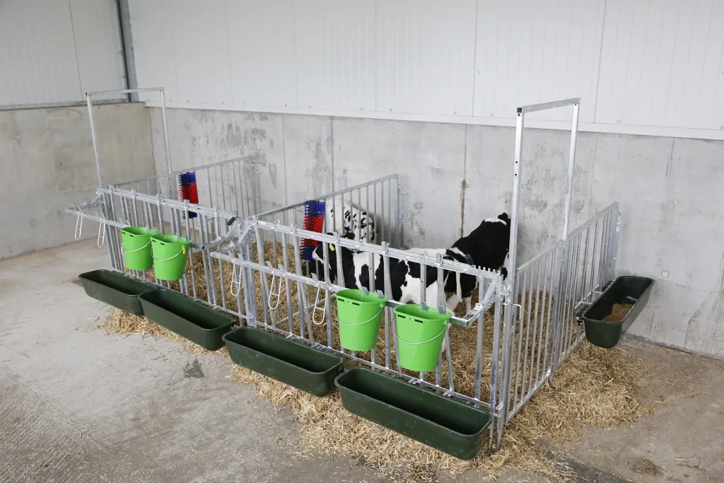 Modulare Zaunaufstallung, Doppelset für 5er Kälbergruppe