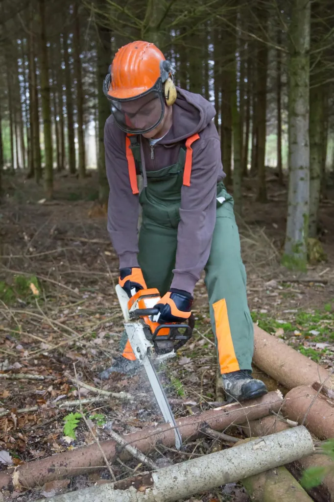 Motorsägenhandschuh Forester Gr. 11/XXL