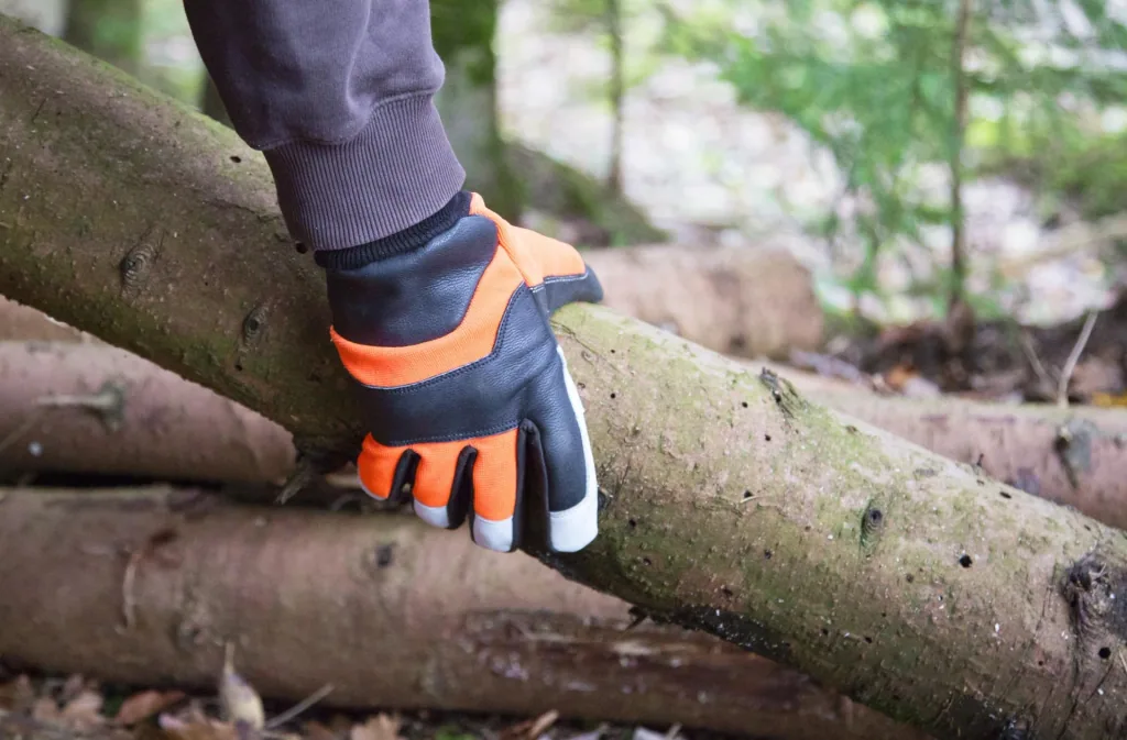 Motorsägenhandschuh Forester Gr. 11/XXL