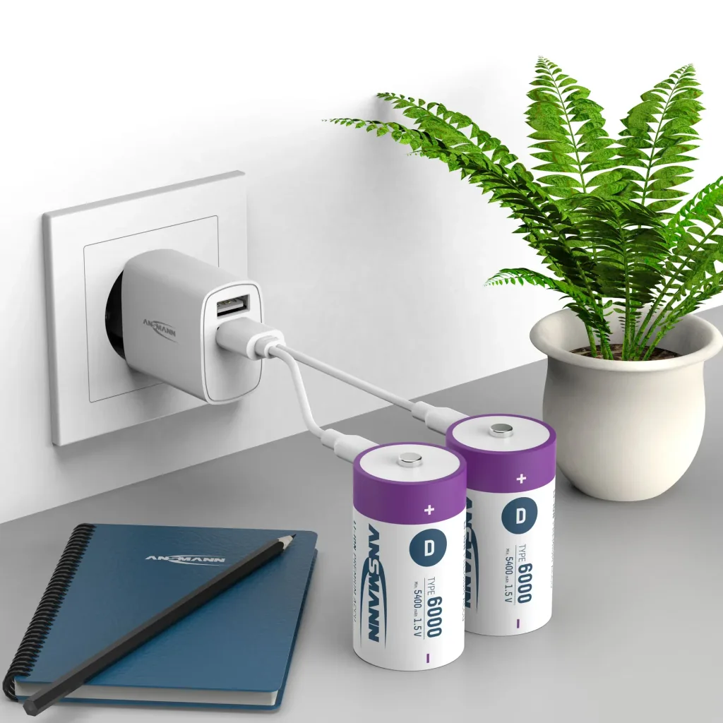 Lithium Ionen Mono (D) Akkus USB-C - 2 Stück, Sicherheitsabschaltung