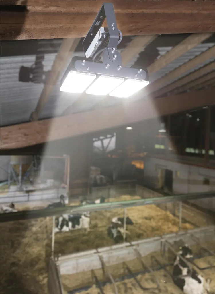 150 W Multi LED Stall Leuchte, 3 Module 19.500 Lumen, IP65 / D- Kennzeichen