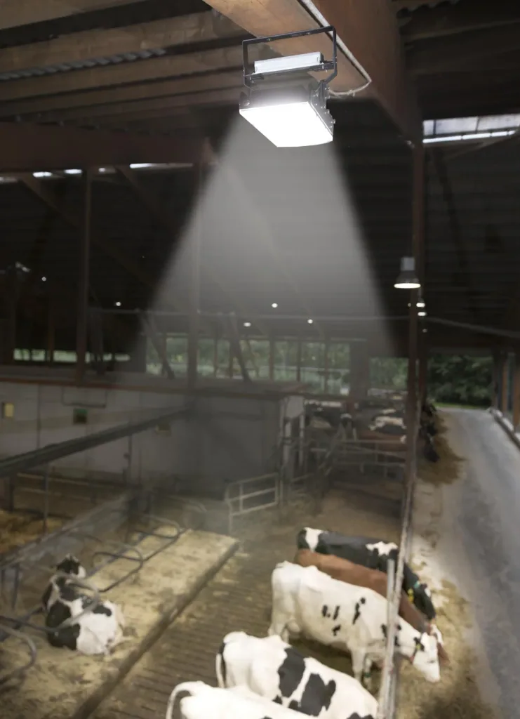 150 W Multi LED Stall Leuchte, 3 Module 19.500 Lumen, IP65 / D- Kennzeichen