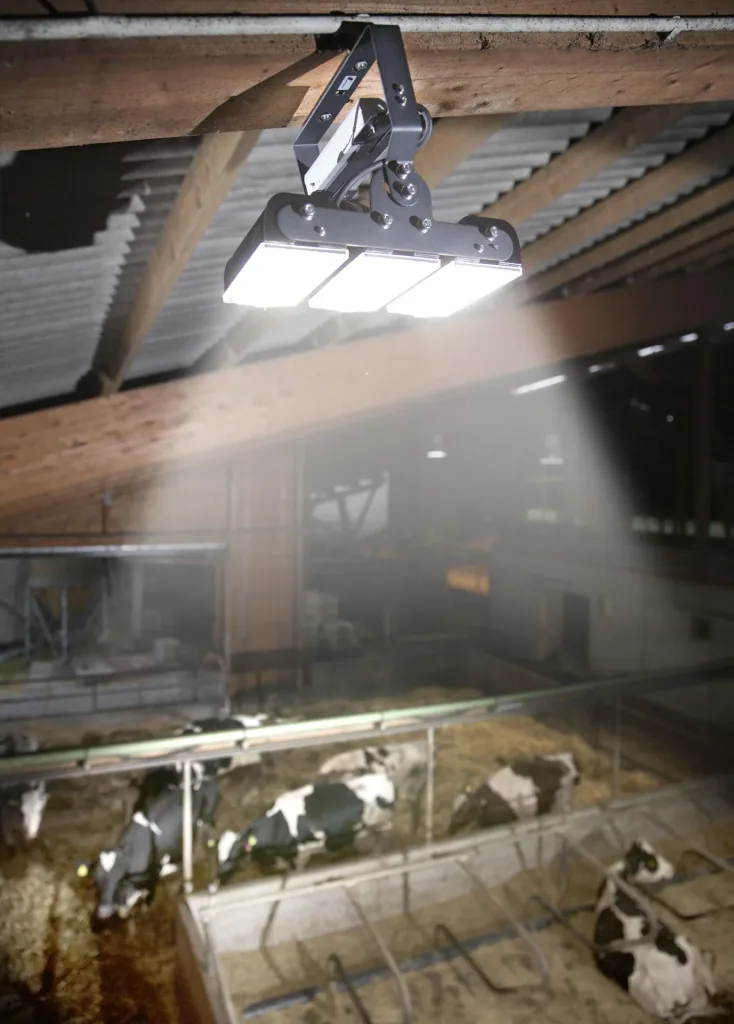 150 W Multi LED Stall Leuchte, 3 Module 19.500 Lumen, IP65 / D- Kennzeichen