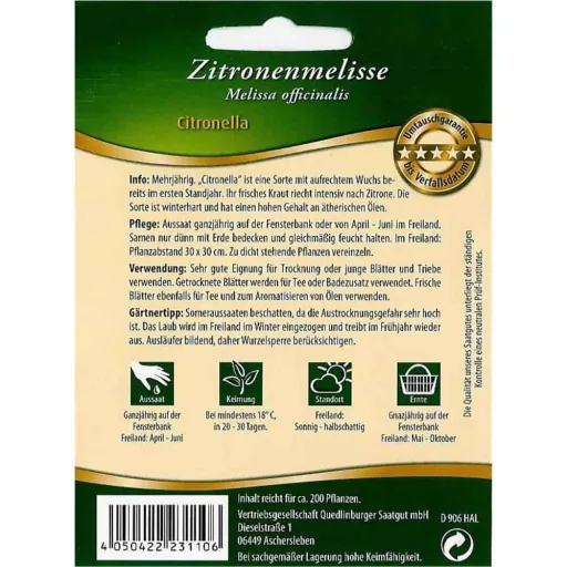 Zitronenmelisse, Zitronenmelisse Pflanzen, Citronella Pflanze, mehrjährige Kräuter