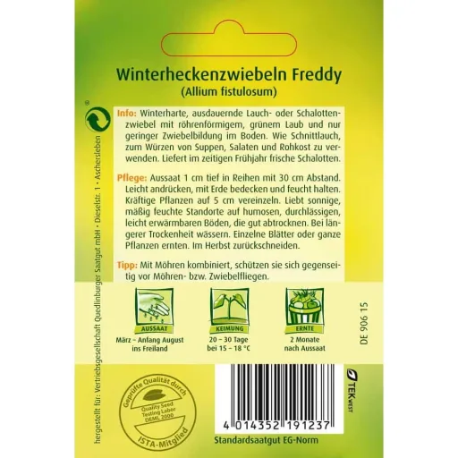 Winterheckenzwiebel, Winterzwiebel, Schlottenzwiebel, mehrjährig