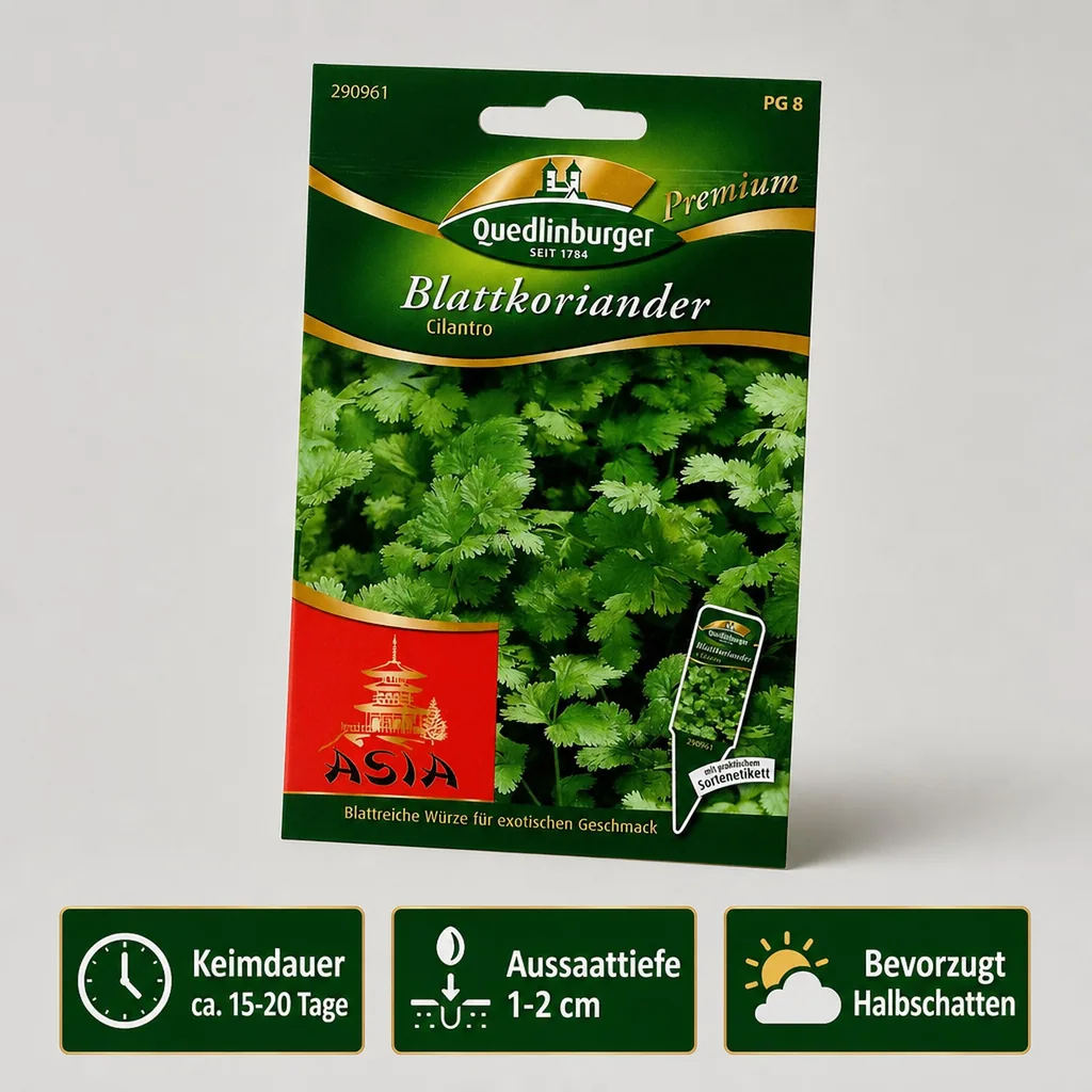 Blattkoriander, Cilantro