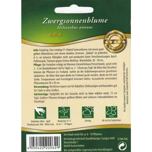 Zwergsonnenblumen Ballad F1, Sonnenblumensamen, Topfsonnenblume