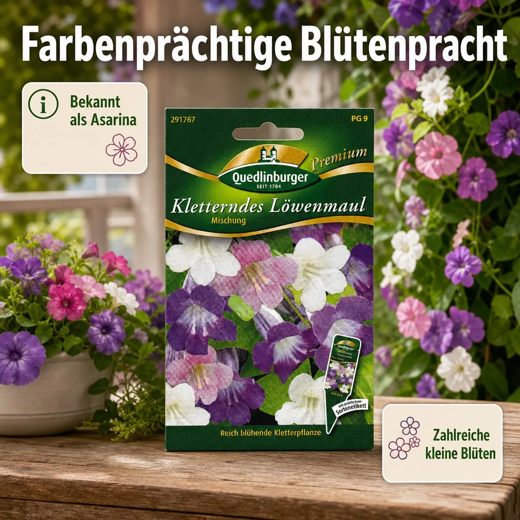 Kletterndes Löwenmaul, Asarina, Saatgut für Balkon & Garten